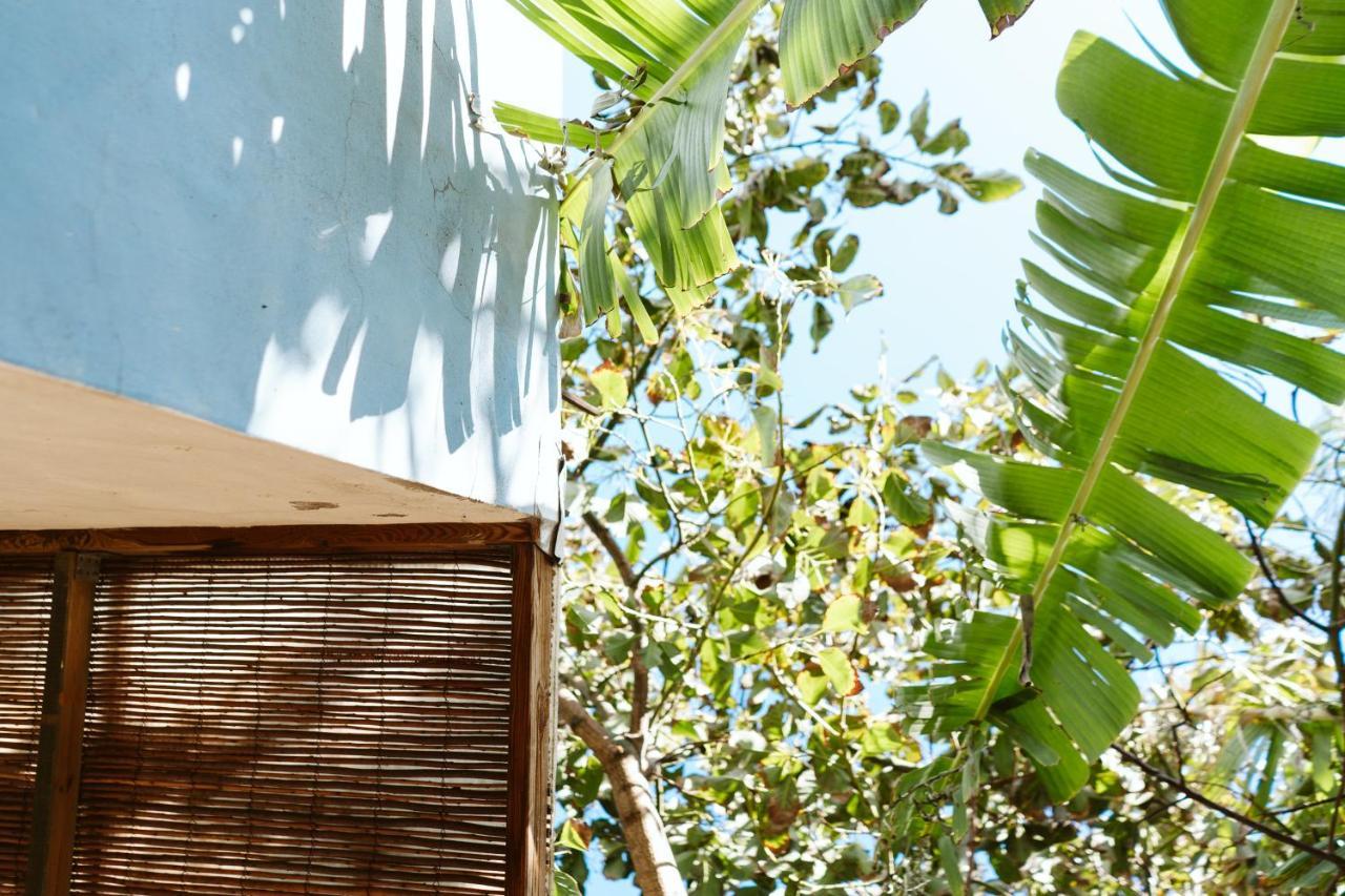 Tortuga Blue House In Banana Plantation Villa Arucas Kültér fotó
