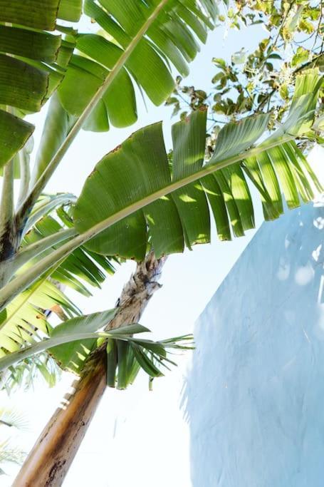 Tortuga Blue House In Banana Plantation Villa Arucas Kültér fotó